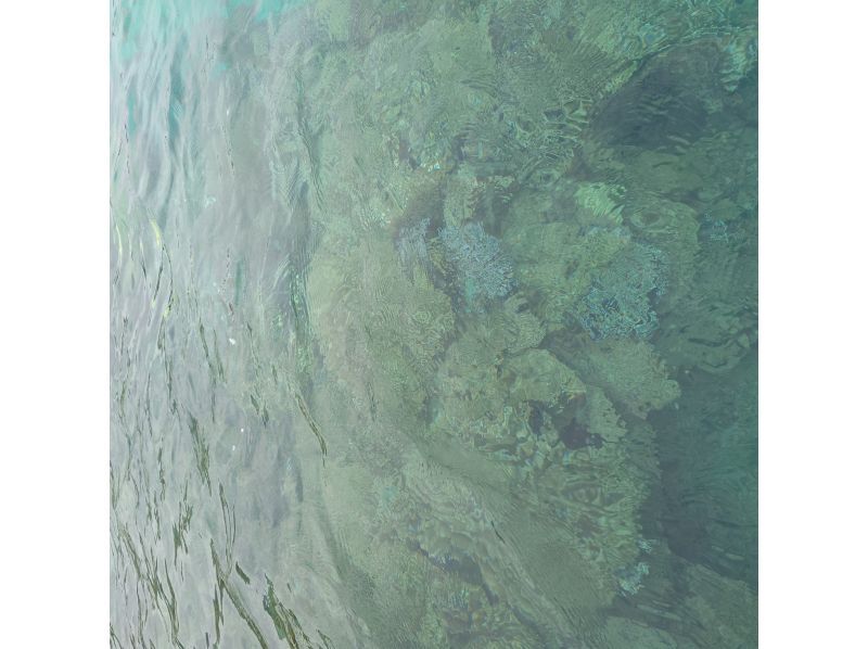 Marine Lagoon のギャラリー