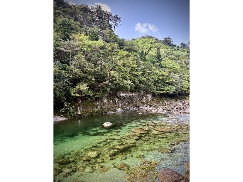 Yamakara屋久島 のギャラリー
