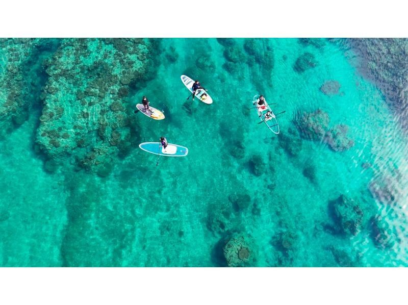 OneUP Paddle のギャラリー