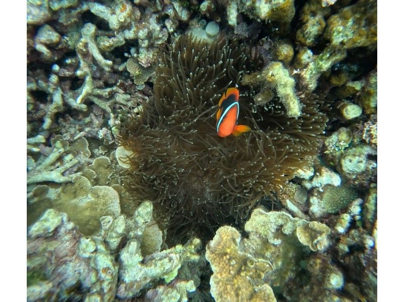 RUANOA 石垣島 のギャラリー