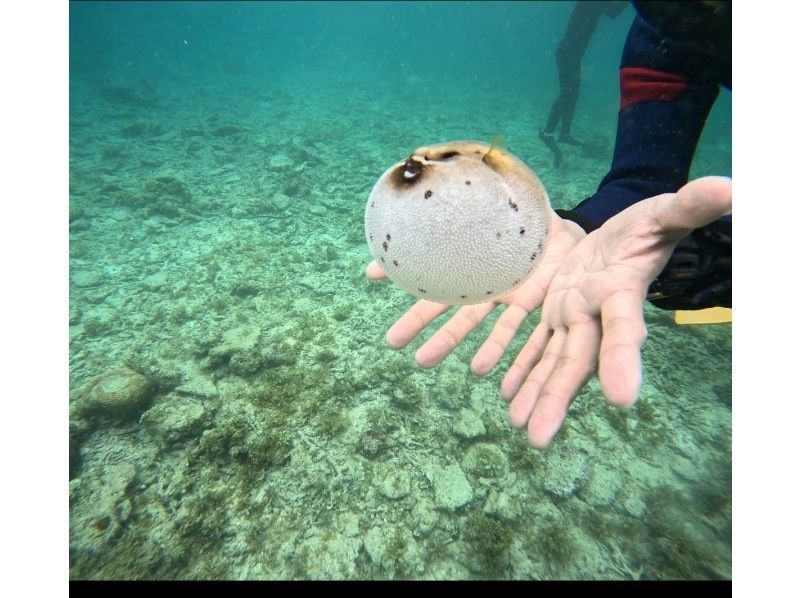RUANOA 石垣島 のギャラリー