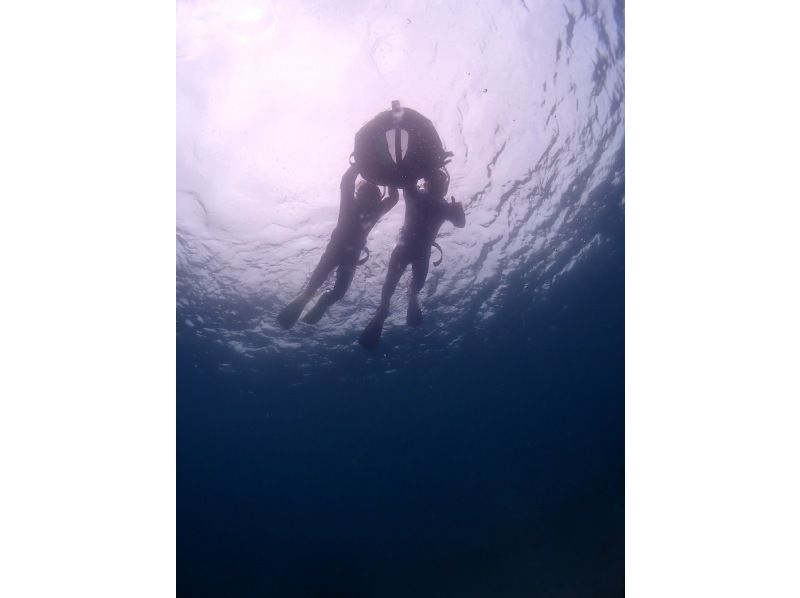 ARK Diving Shop 串本店 のギャラリー