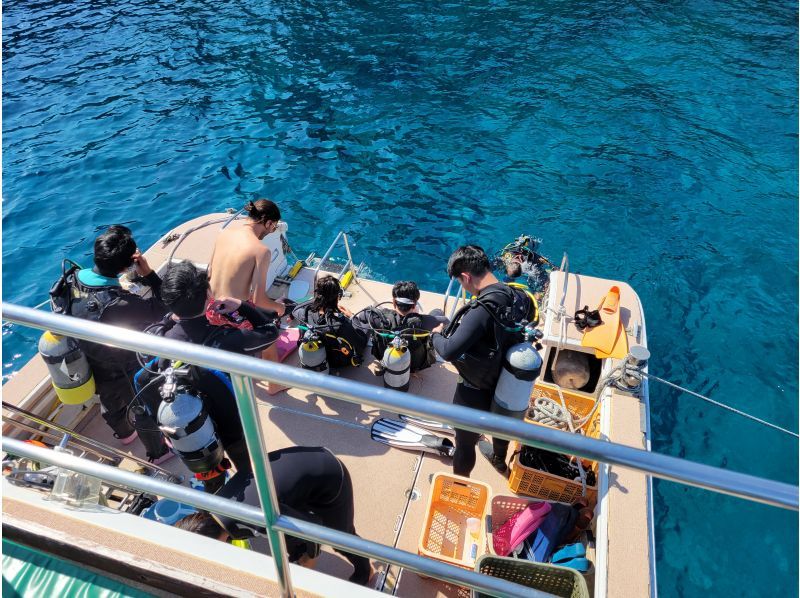 アルファダイブ沖縄(Alpha Dive Okinawa) のギャラリー