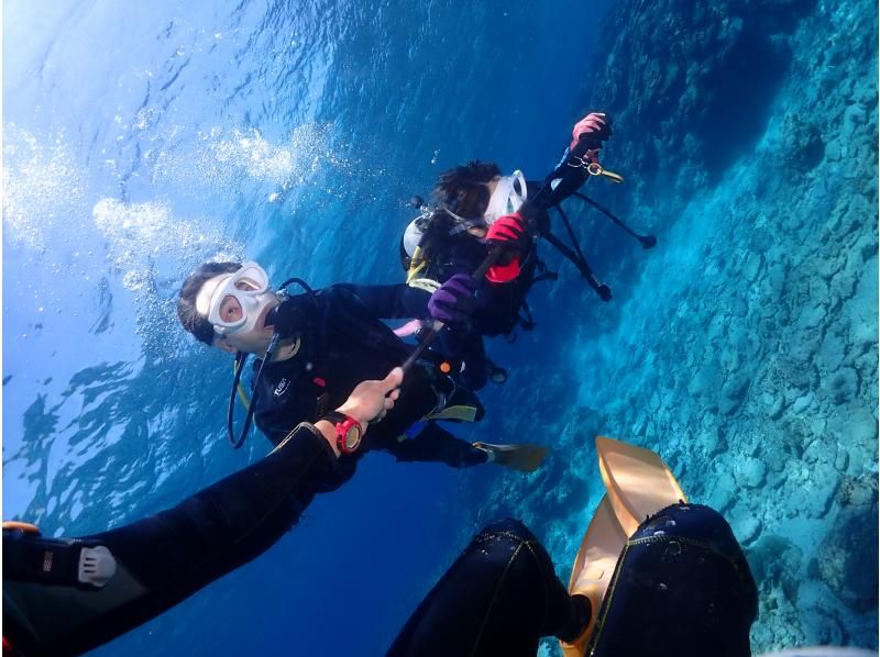 アルファダイブ沖縄(Alpha Dive Okinawa) のギャラリー