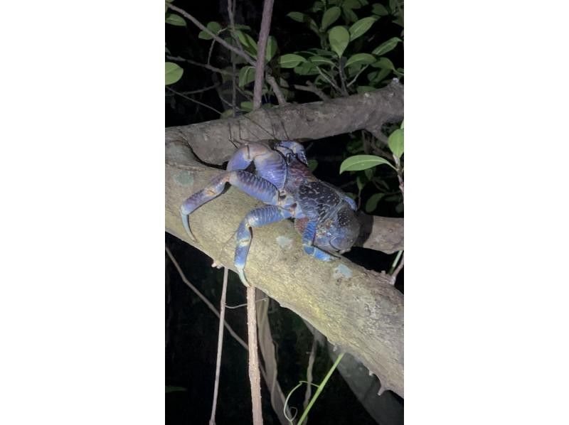 Nami宮古島 のギャラリー