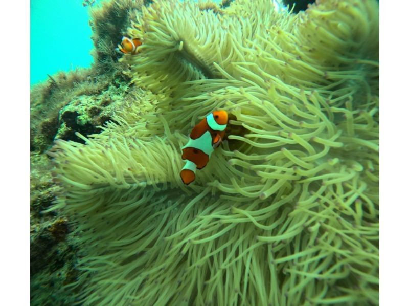 Diving Shop Lei のギャラリー