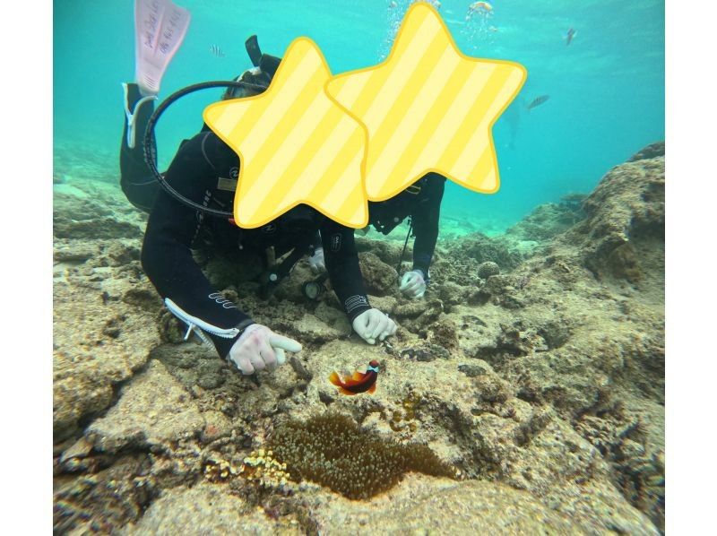 Diving Shop Lei のギャラリー