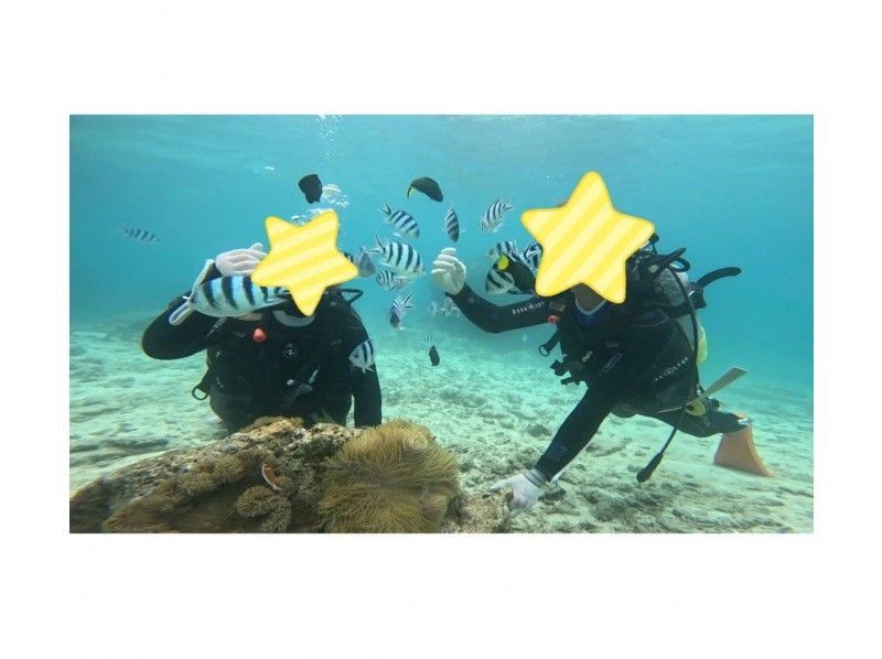 Diving Shop Lei のギャラリー