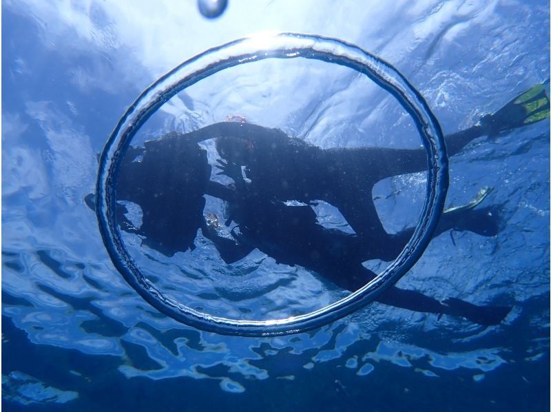沖縄ダイビングショップ シーフリー(Sea Free) のギャラリー