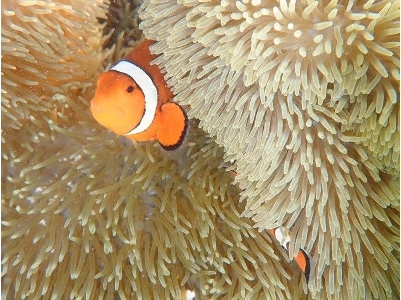 宮古島 ADVENTURE PiPi（ピピ） のギャラリー