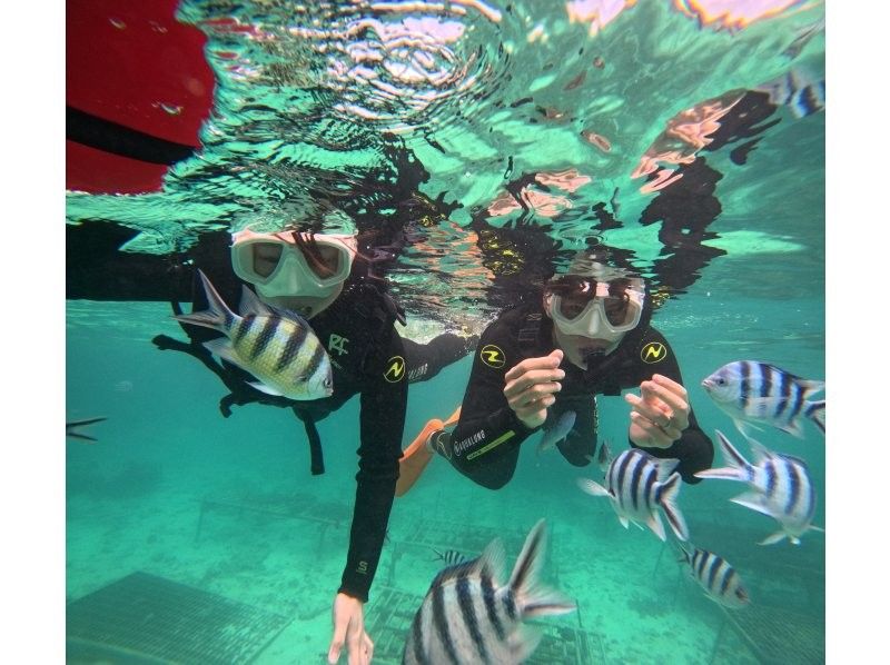 Diving Shop Lei のギャラリー