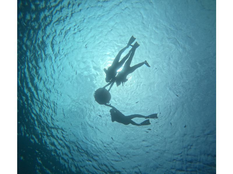 Diving Shop Lei のギャラリー