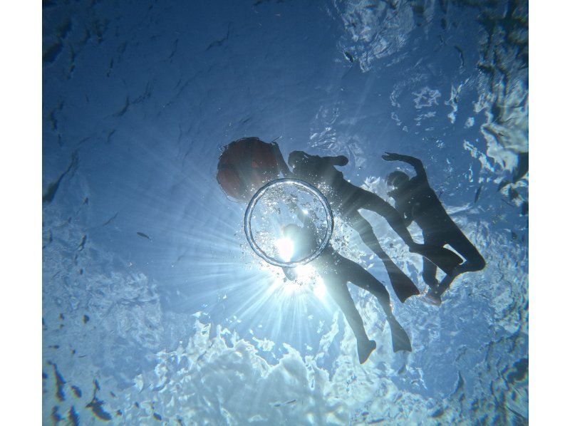 Diving Shop Lei のギャラリー