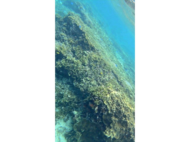 Nami宮古島 のギャラリー
