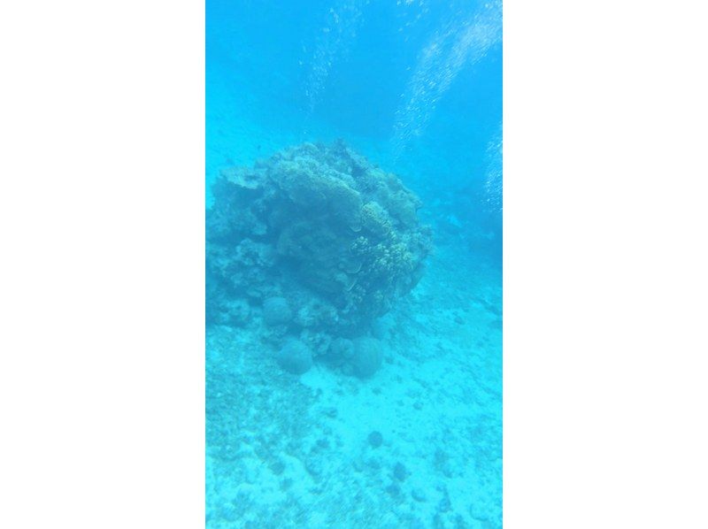 Nami宮古島 のギャラリー