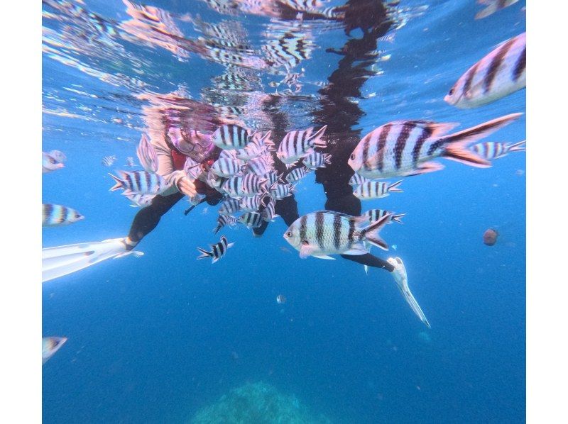 diving＆workshop IHANASHI のギャラリー