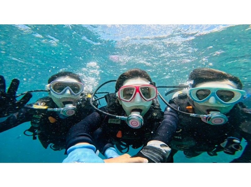 DIVING-SHOP SUNS のギャラリー