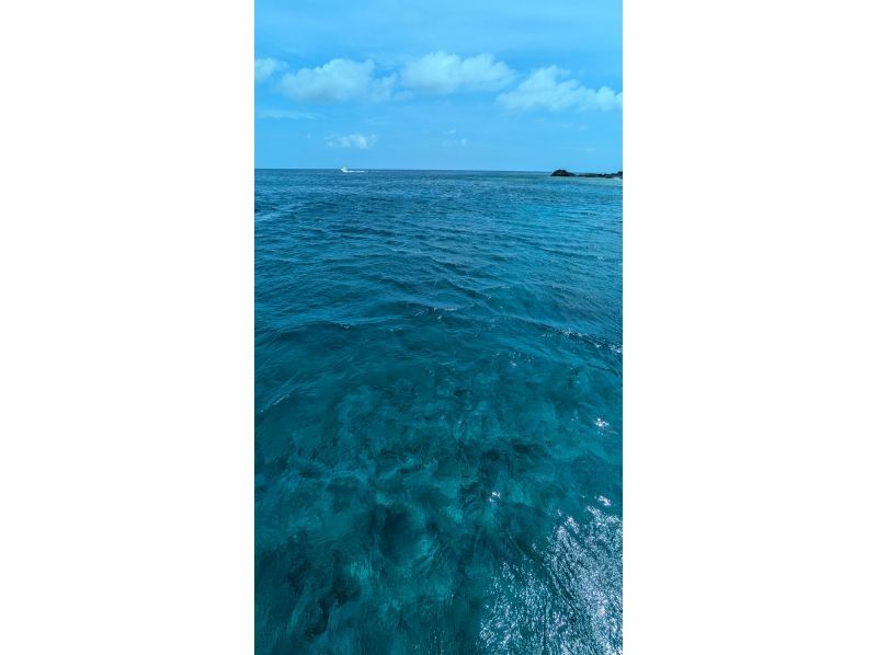 アルファダイブ沖縄(Alpha Dive Okinawa) のギャラリー