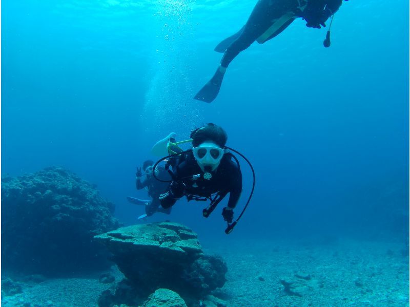 アルファダイブ沖縄(Alpha Dive Okinawa) のギャラリー
