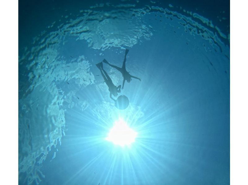 Diving Shop Lei のギャラリー