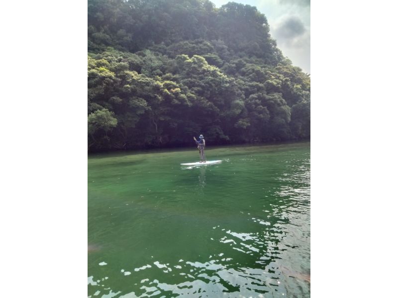 屋久島フィールドガイド スピニカ(YAKUSHIMA FIELD GUIDE SUPINIKA) のギャラリー