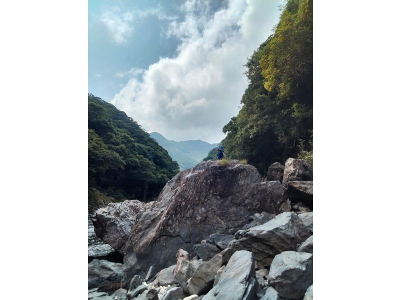 屋久島フィールドガイド スピニカ(YAKUSHIMA FIELD GUIDE SUPINIKA) のギャラリー