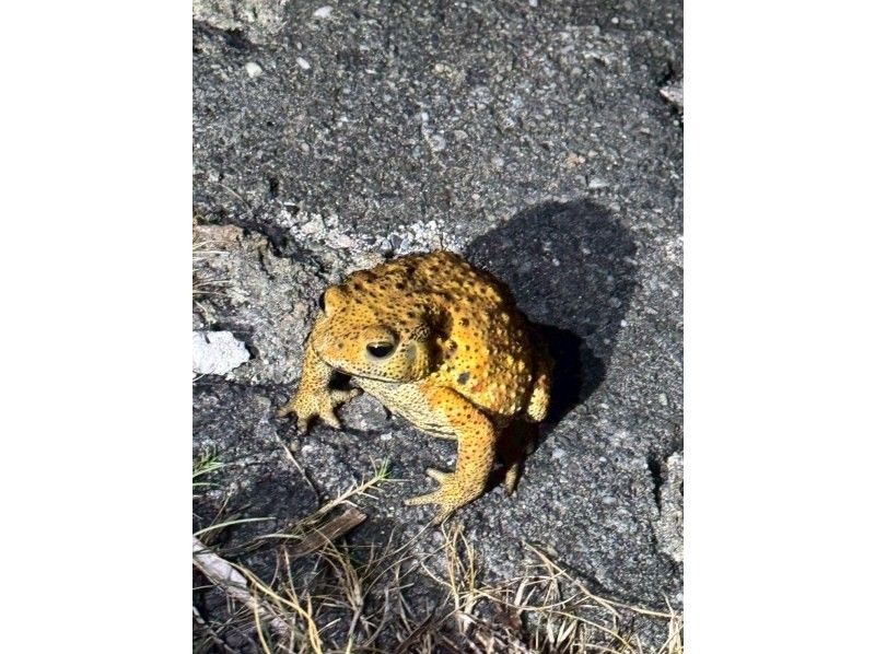 Nami宮古島 のギャラリー