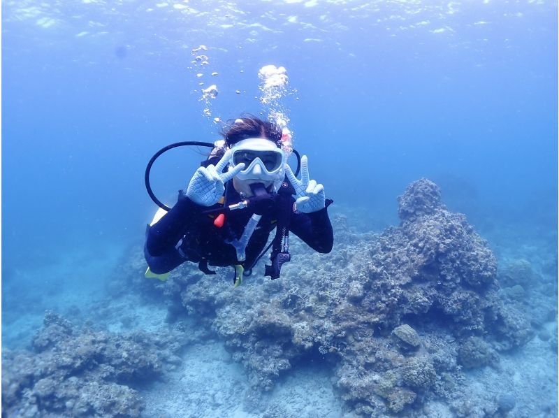 石垣島ダイビングショップABCdive のギャラリー