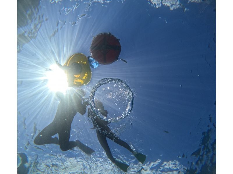 Diving Shop Lei のギャラリー