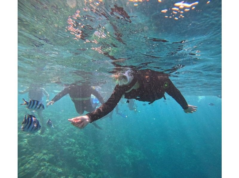 Diving Shop Lei のギャラリー