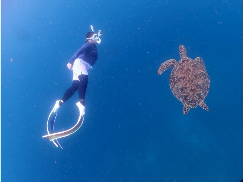 海遊びネジ のギャラリー
