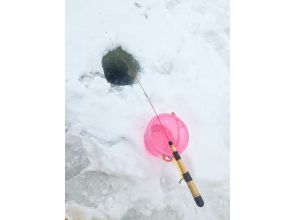 大沼遊船の予約・アクセス・営業時間 | アクティビティジャパン