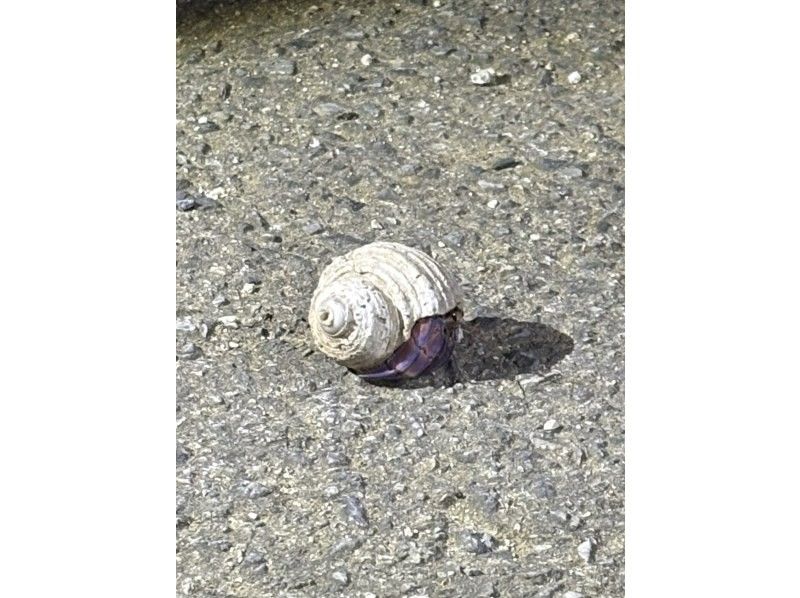 COCO宮古島 のギャラリー