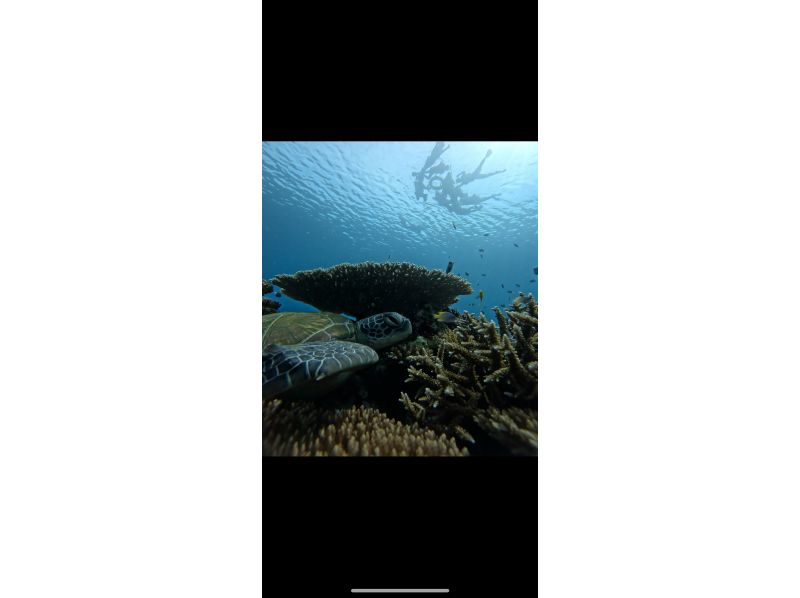 RUANOA 石垣島 のギャラリー
