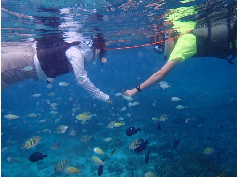 SABA SUP OKINAWA のギャラリー