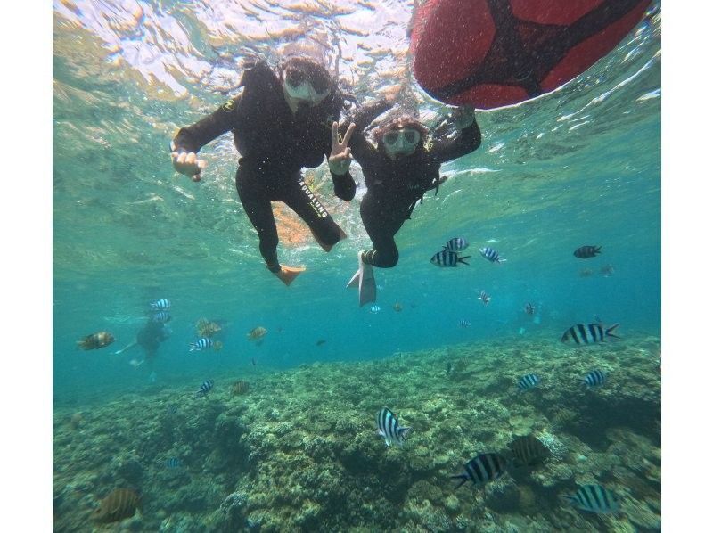 Diving Shop Lei のギャラリー
