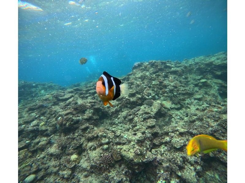 Diving Shop Lei のギャラリー