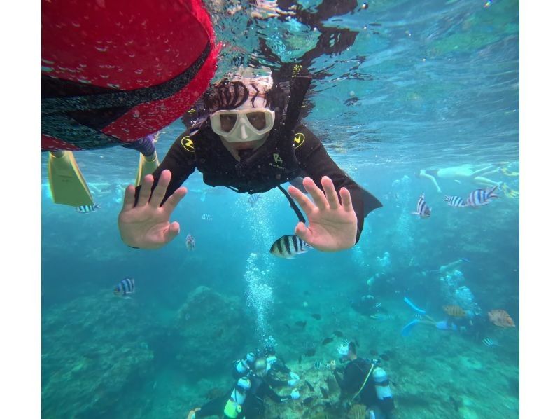 Diving Shop Lei のギャラリー