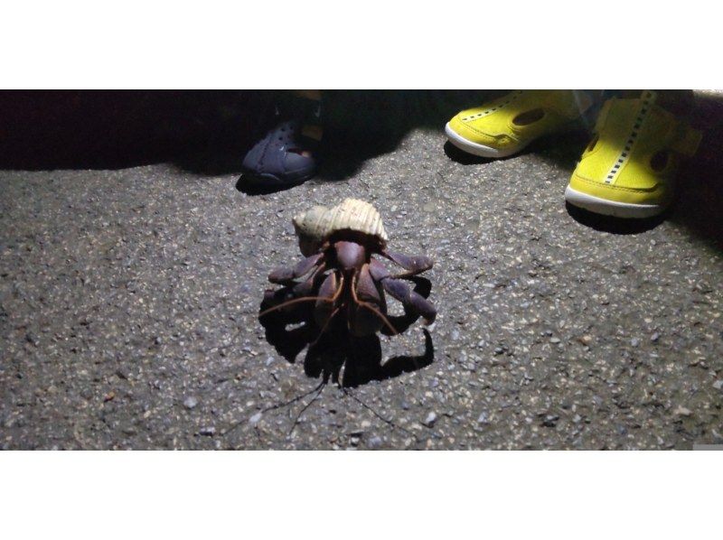 COCO宮古島 のギャラリー