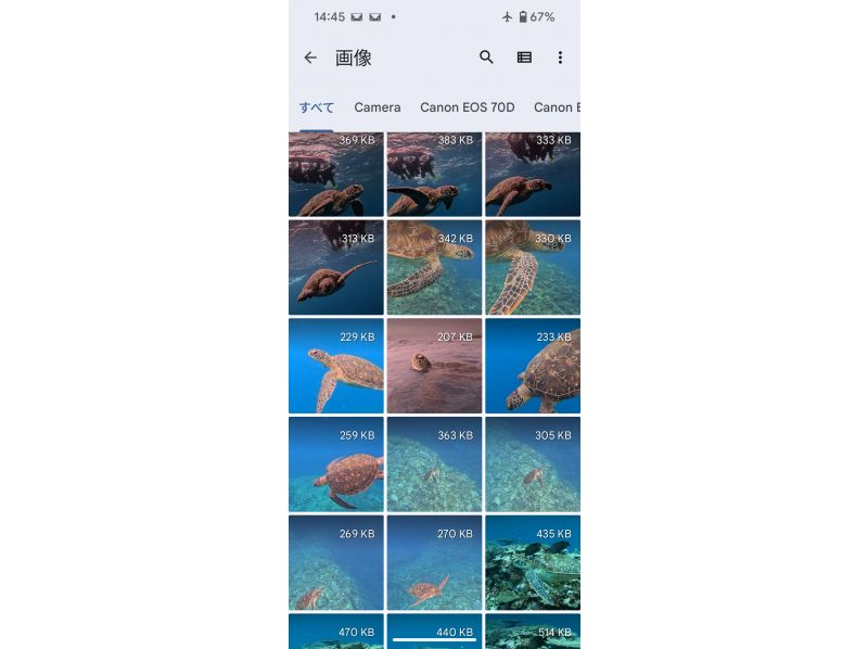 株式会社SHISHI石垣島 のギャラリー