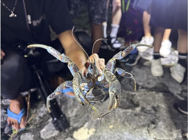 COCO宮古島 のギャラリー
