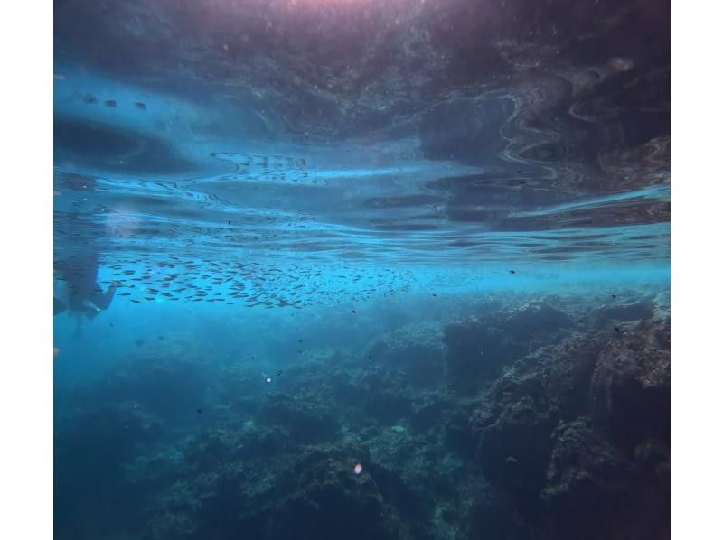 Diving Shop Lei のギャラリー