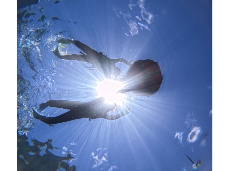 Diving Shop Lei のギャラリー