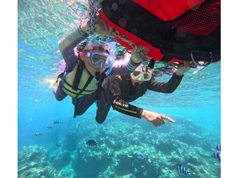Diving Shop Lei のギャラリー