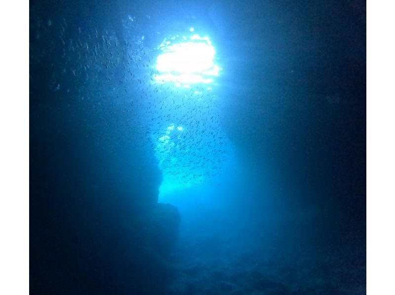 Diving Shop Lei のギャラリー