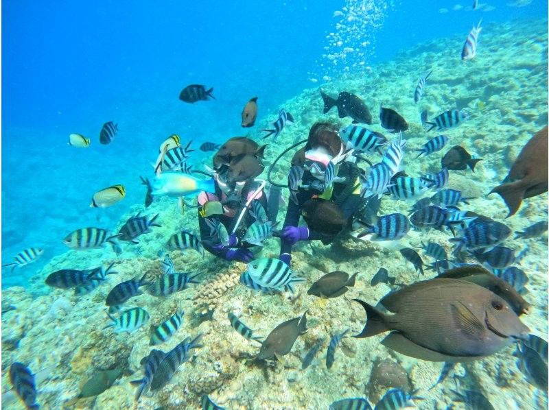 ダイビングショップめんそーれ(Okinawa diving mensore) のギャラリー