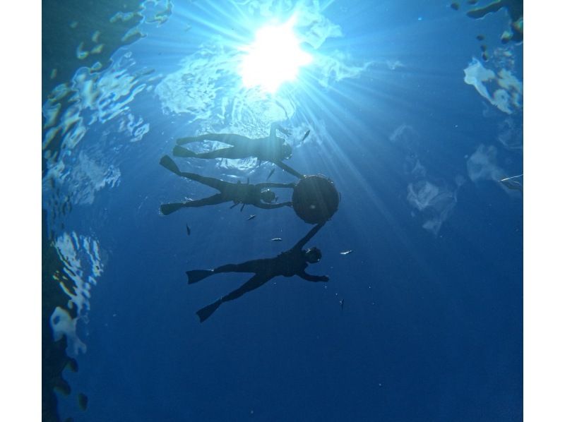 Diving Shop Lei のギャラリー