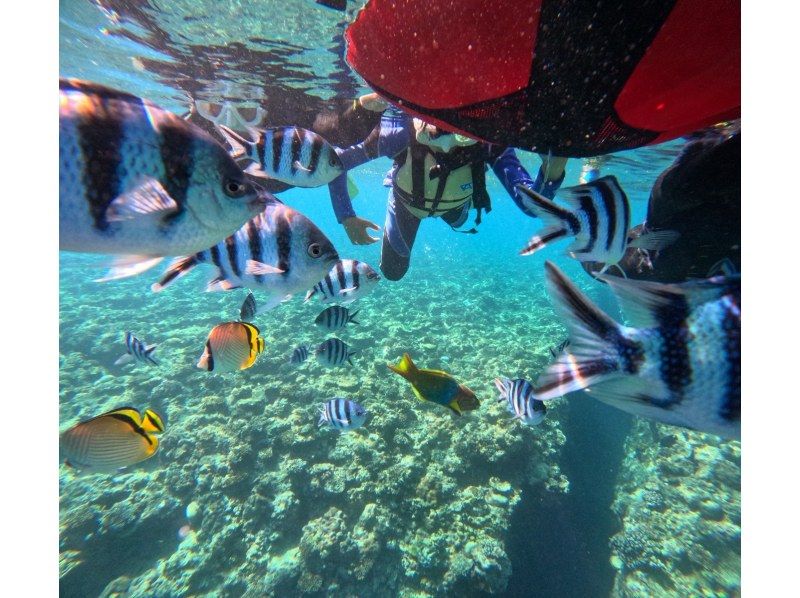 Diving Shop Lei のギャラリー