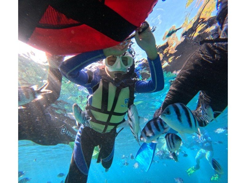 Diving Shop Lei のギャラリー