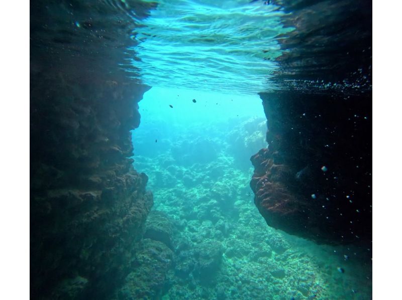 Diving Shop Lei のギャラリー